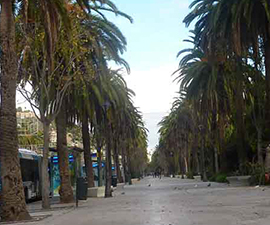 Paseo del parque - Málaga